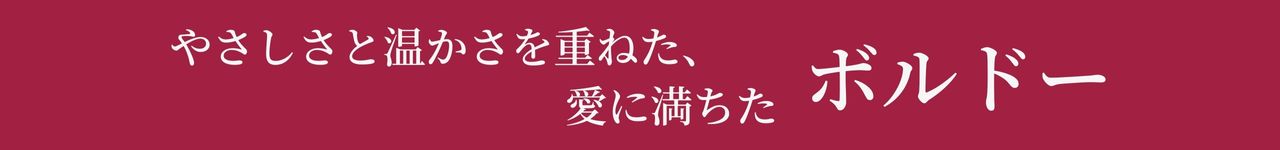 トップ画像